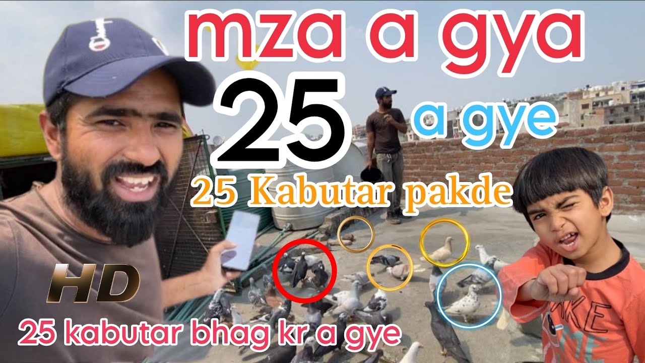 25 kabutar pakde, 😱 a gye bhag kr mere | Zabardast ladaiyya zohan bhai ka shok |@sahilkhanvlog