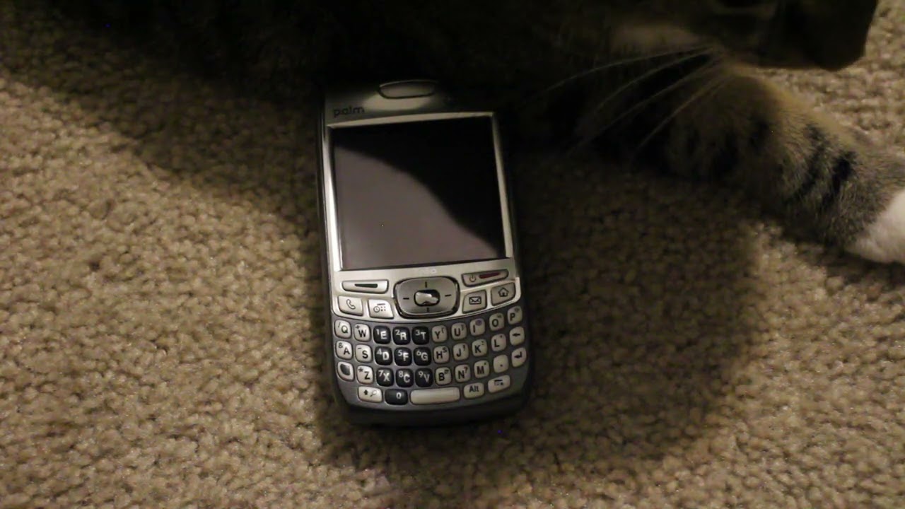 Reviewing the Palm Treo 700p, my favorite Palm OS device