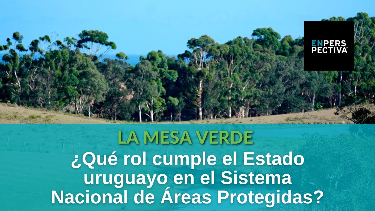 Sistema Nacional de Áreas Protegidas: ¿Cómo funciona? ¿Cómo debe ser un ecosistema para integrarlo?