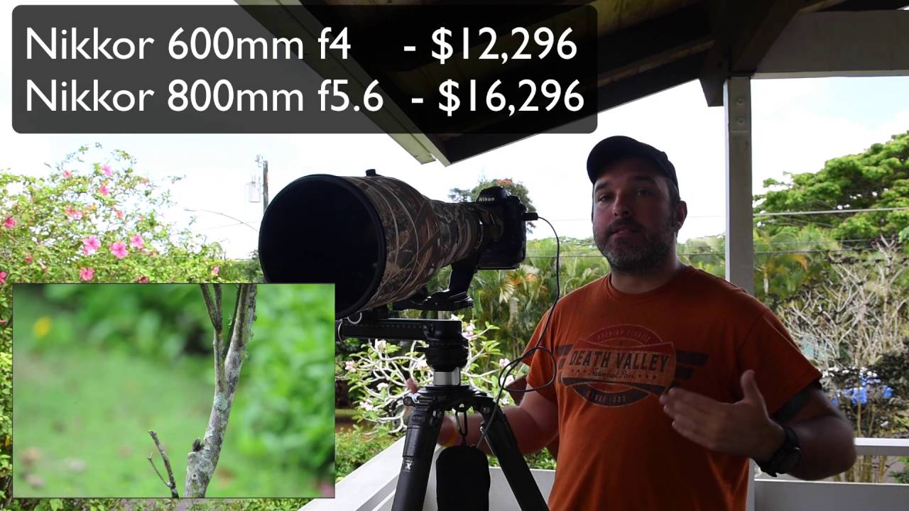 Part 2: A Live Demonstration of the Nikon AF-S Nikkor 800mm f/5.6E FL ED VR