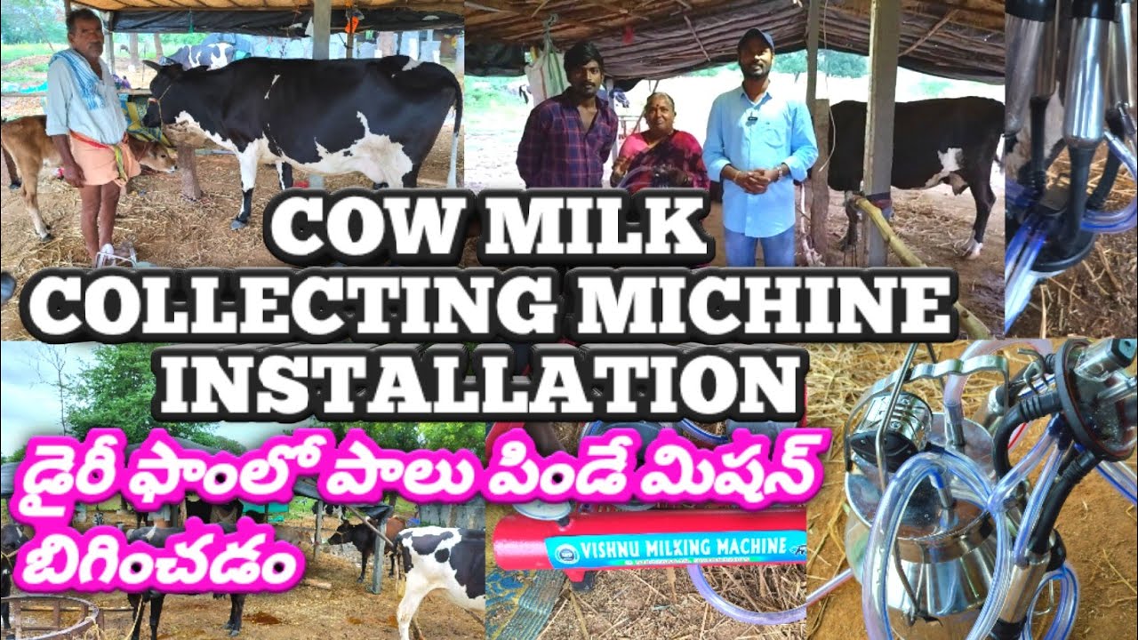 MILKING MACHINE INSTALLATION AT DAIRY FARM,రైతు డైరీ ఫాంలో పాలు పితికె మిషన్ ను బిగించడం. VLOG