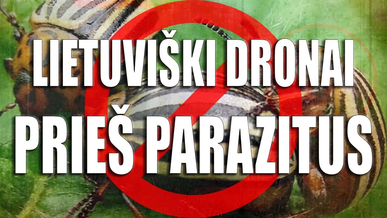 Praeities Žvalgas -  Lietuviškais Dronais Naikinam Parazitus. Ir Kolorado Vabalus