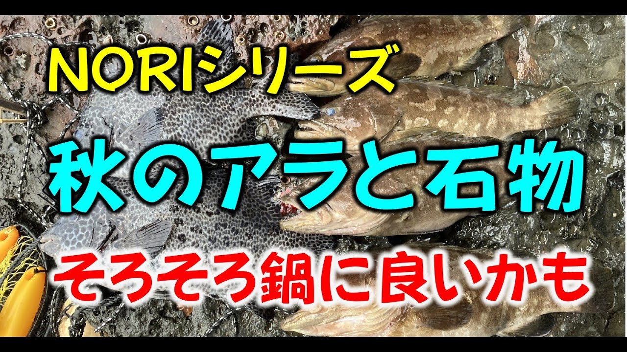 壱岐妻が島のアラとイシダイ