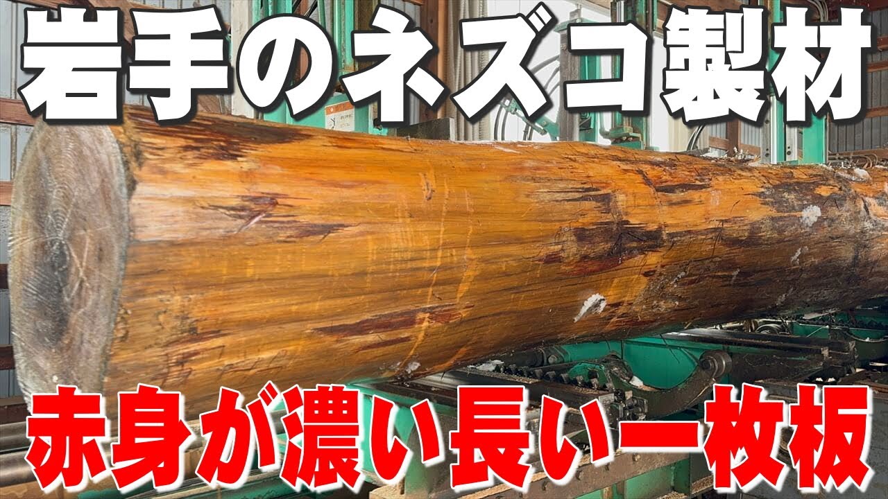 【岩手産レッドシダーを製材】岩手県産ネズコ原木を製材【木の店さんもく】Japanese Red Cedar Sawing
