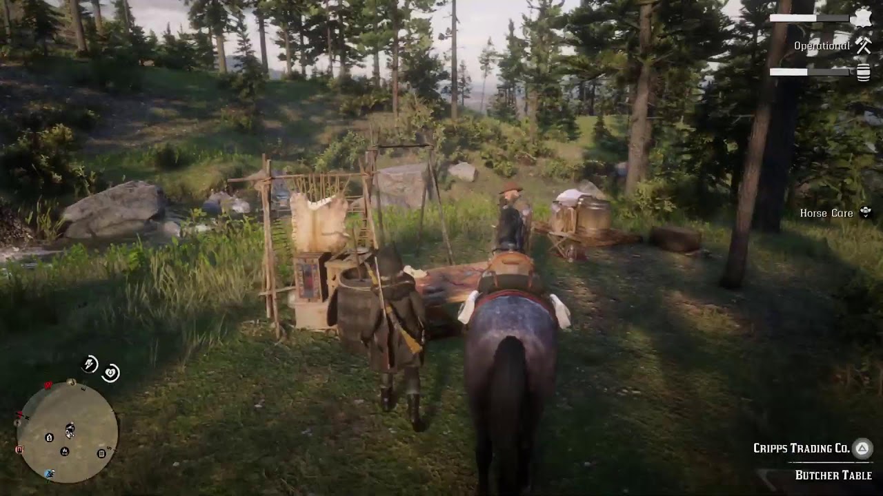 RedDead 2 play with my brother JJ Rockstar #RedDead #RockStar
