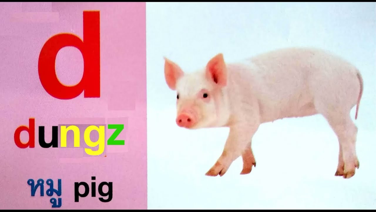 All 32 Iu Mien Consonants. Iu-Mienh nyei 32 norm nzangc-maac.