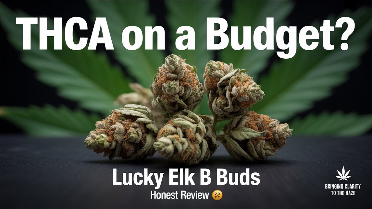 Best Budget THCA Flower Review: The Final Verdict You Cant Miss!