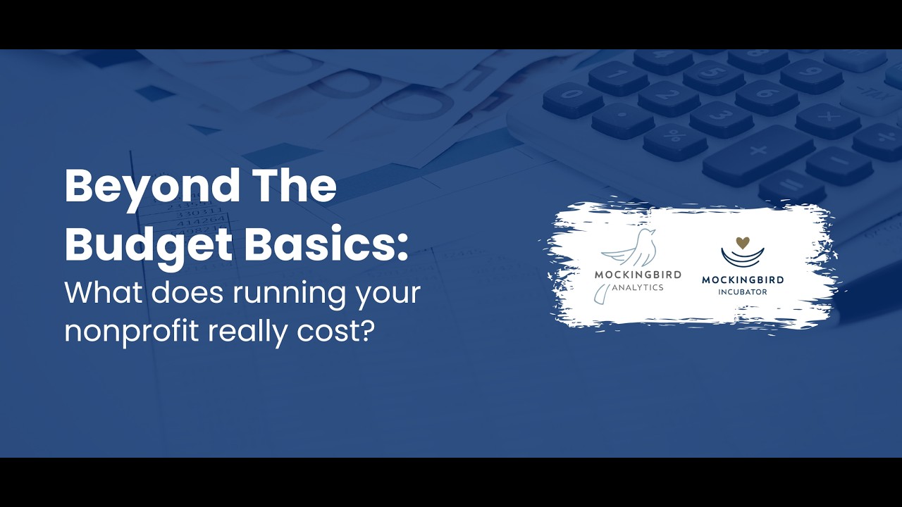 Mockingbird Incubator   Beyond the Budget Basics