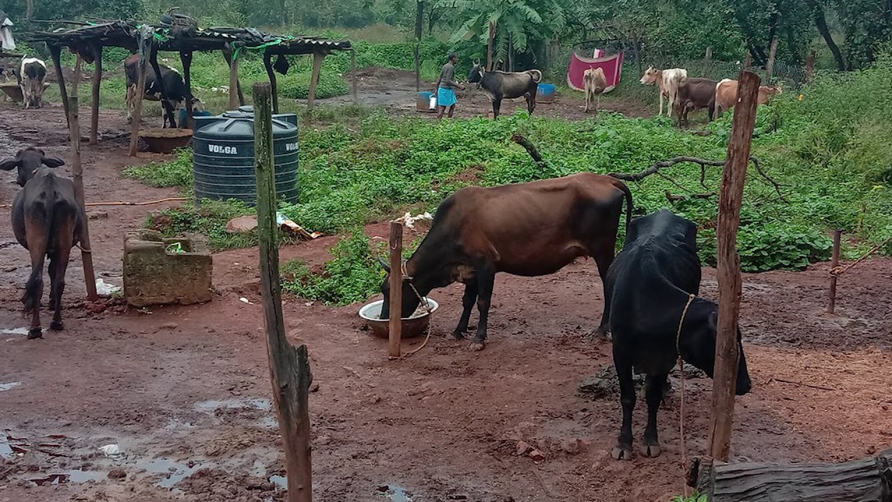 Netarhat : Queen of Chotanagpur || Jharkhand Tourism || 3 day tour