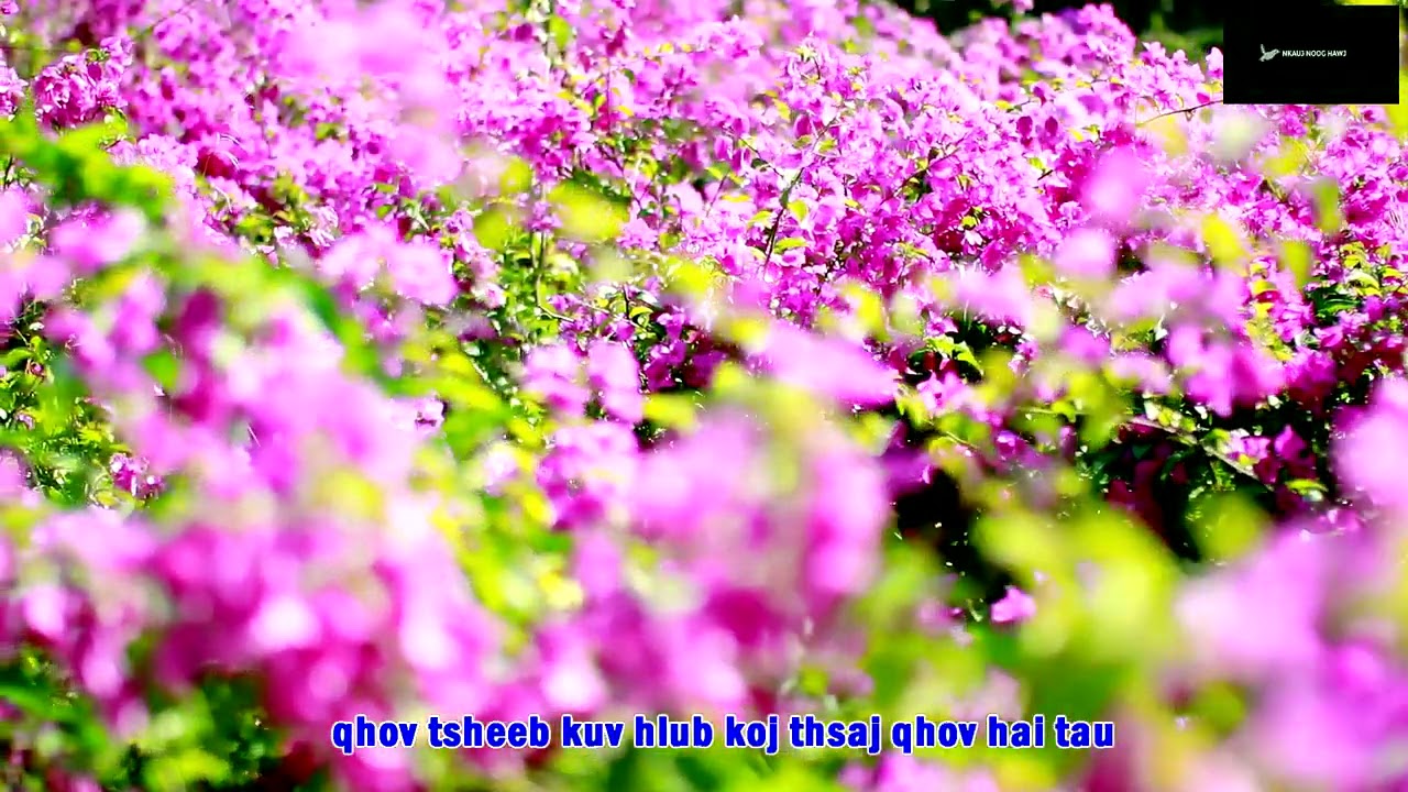 yog koj mu tau hauv kuv lub siab:karaoke: nkaujnoog hawj 26/12/2020