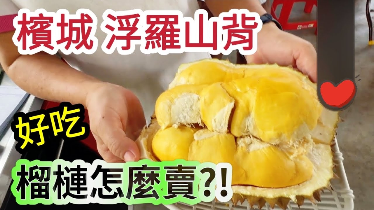 🌈浮羅山背好吃榴槤 |为了榴梿飞大马ep.22 | #马来西亚 #槟城浮罗山背| # Malaysia #Penang #Durian | 2024.07|1208