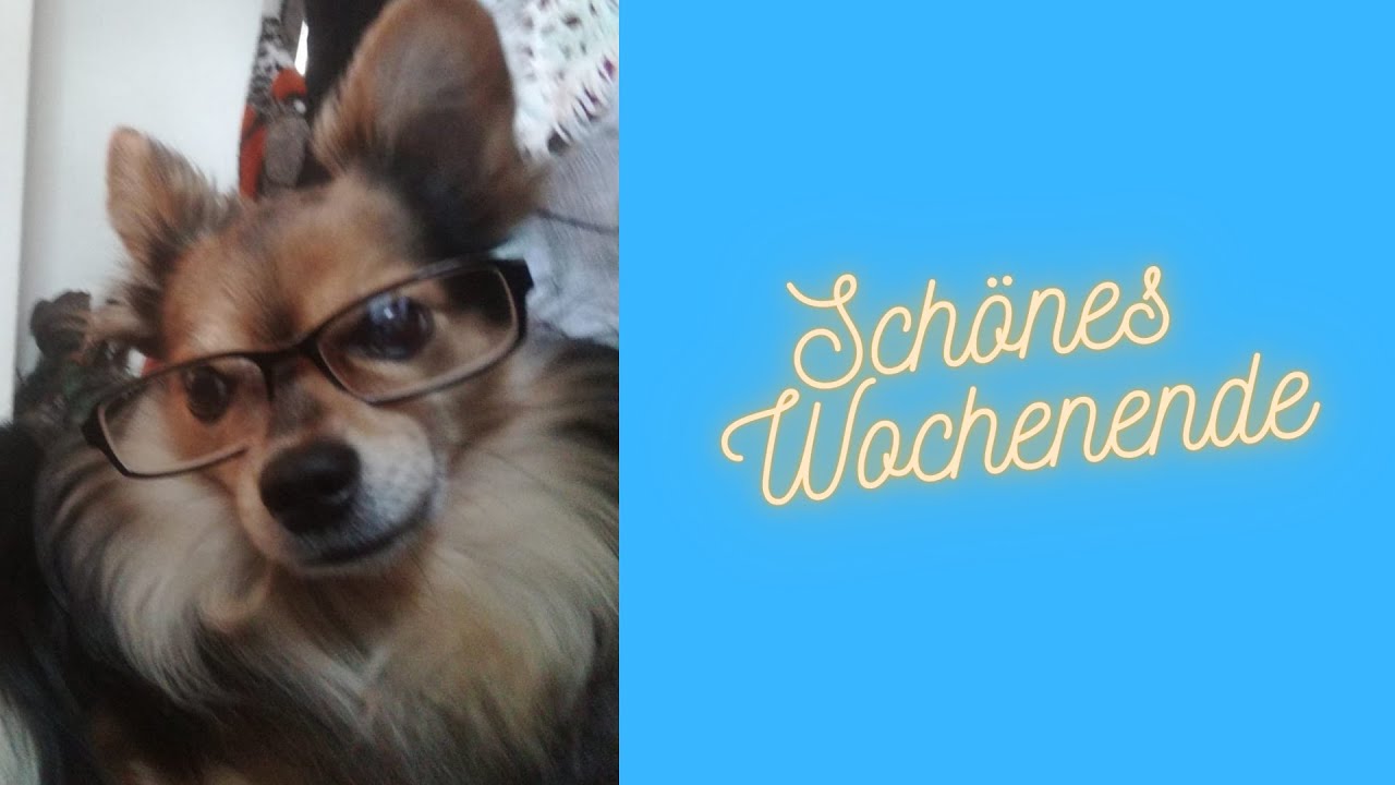 Ich wünsche Dir ein wunderschönes Wochenende mit einem super Sonntag - Tierische Wochenendgrüße
