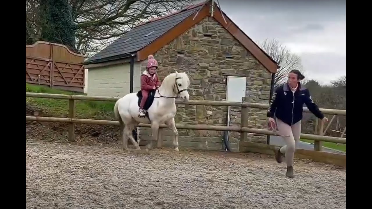 Teaching kids to horse ride vlog