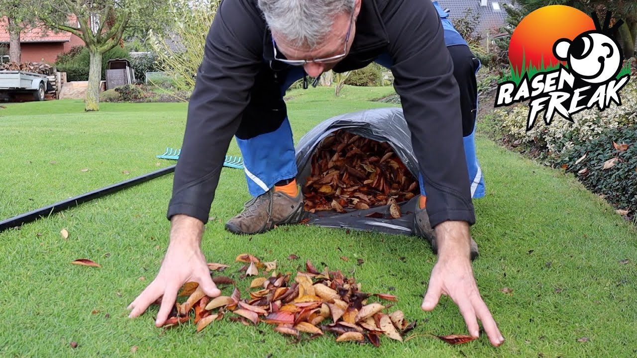 LAUB auf dem Rasen? WEG DAMIT!