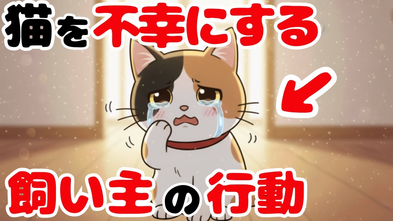 【絶対NG】これすると確実に猫が不幸になる【猫雑学】