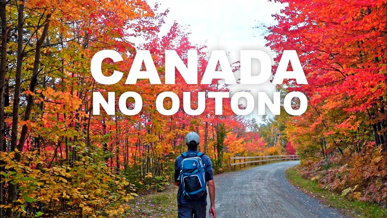 Canad&aacute;, Quando ir pra ver as cores do outono?