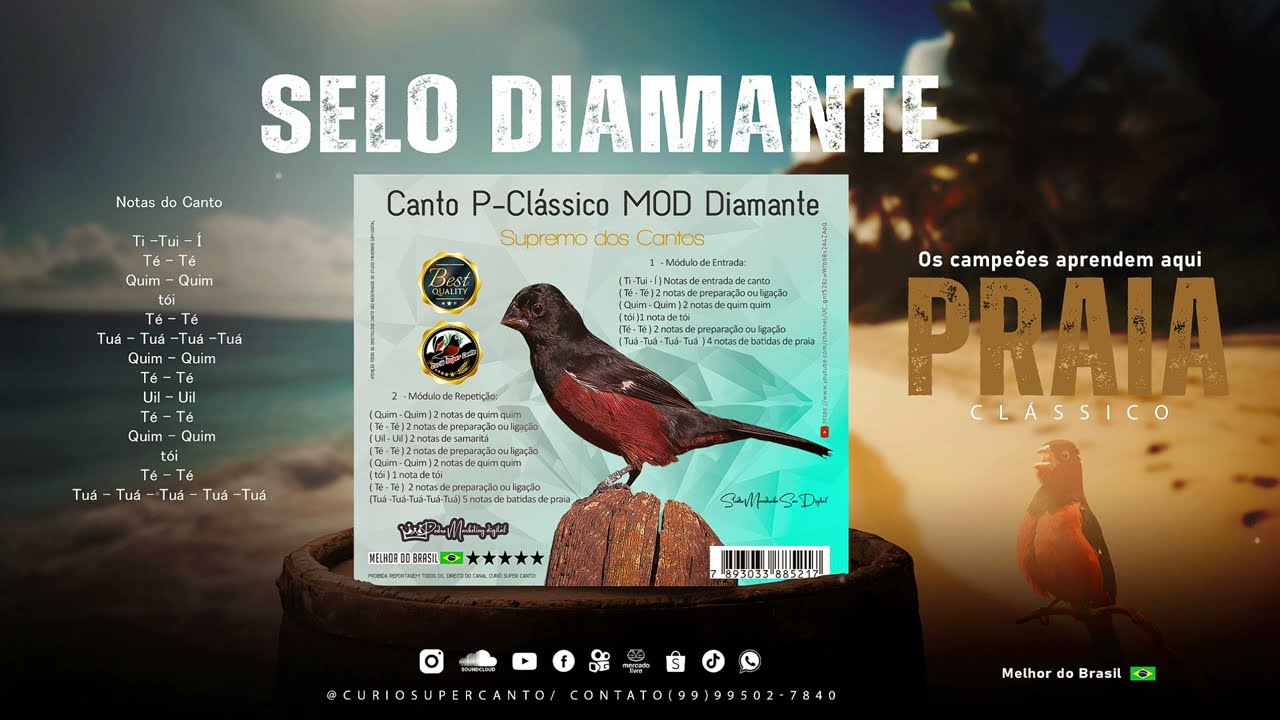 Canto Para Encarte de curió Canto Praia Clássico Selo Diamante Original ♪