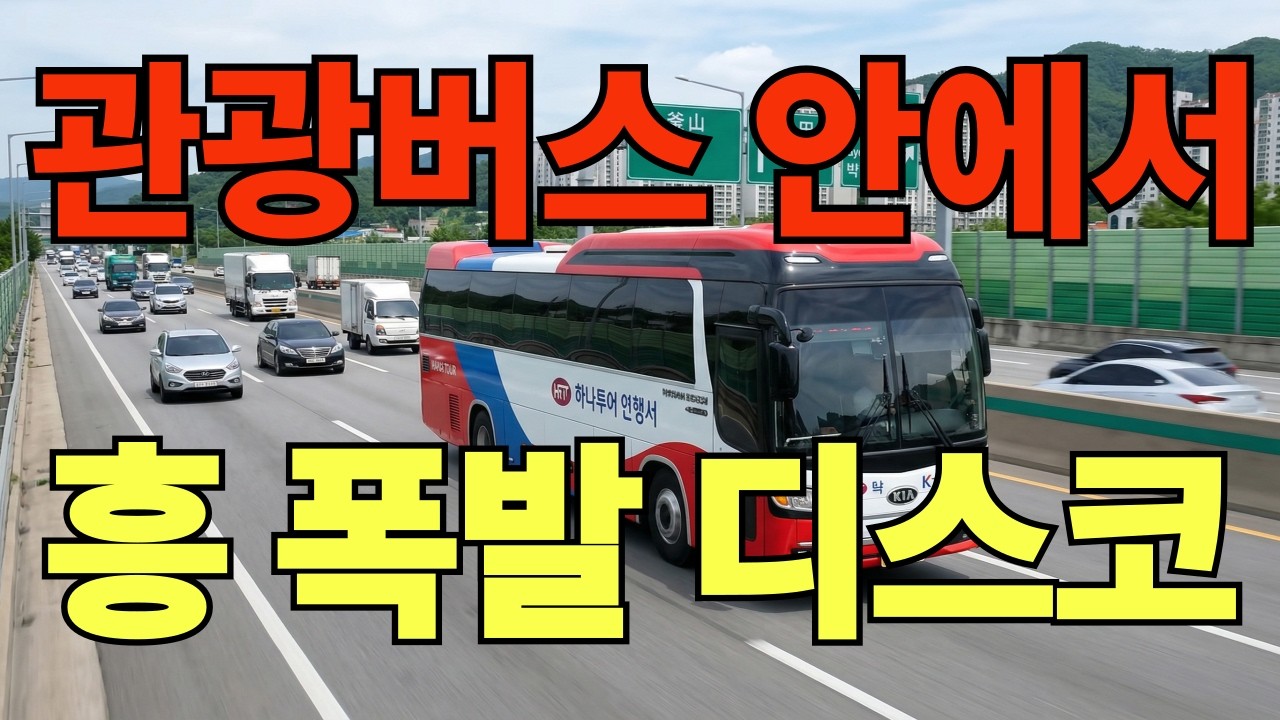 빤짝 디스코  여행  휠링  🎶 전국 방방곡곡 디스코  파티 남여 노소 즐거운 여행