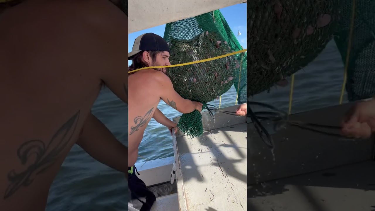 Shrimp on deck! Southeast Louisiana