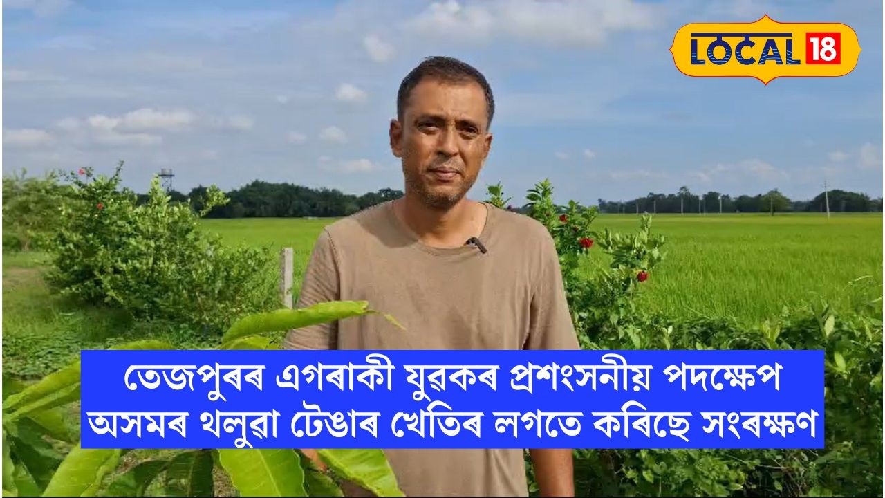 তেজপুৰৰ এগৰাকী যুৱকৰ প্ৰশংসনীয় পদক্ষেপ,অসমৰ থলুৱা টেঙাৰ খেতিৰ লগতে কৰিছে সংৰক্ষণ #local18