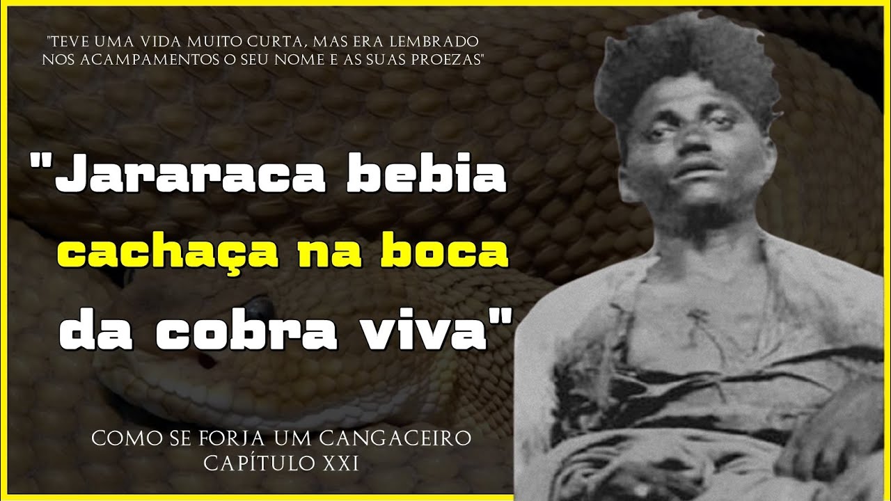 A VINGAN&Ccedil;A DE SABINO DAS AB&Oacute;BORAS E RELATOS SOBRE JARARACA (JOS&Eacute; LEITE DE SANTANA).