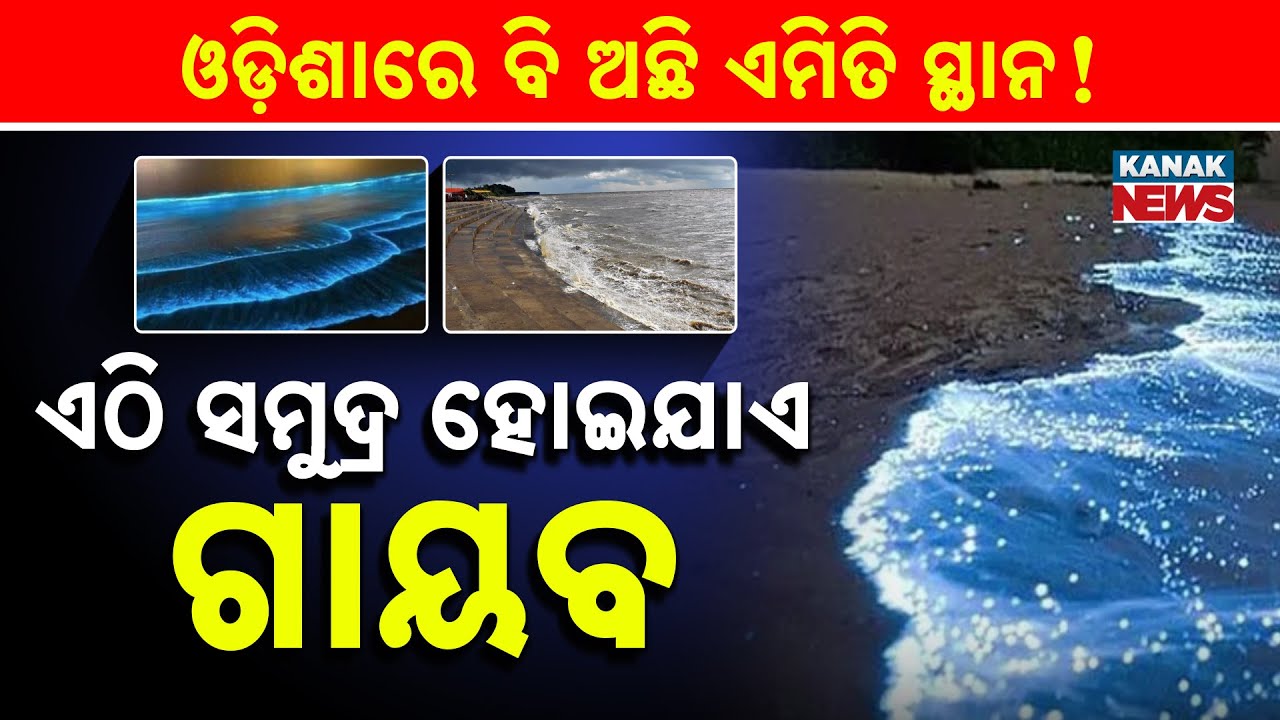 Special Report: Chandipur Beach Odisha: The Mystical Vanishing Sea Twice A Day