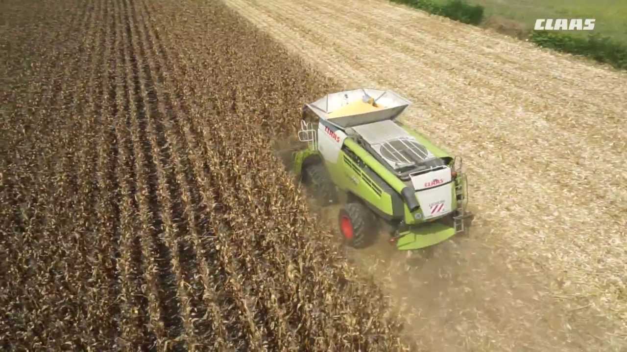 CLAAS In Campo 2015 - Tacconi