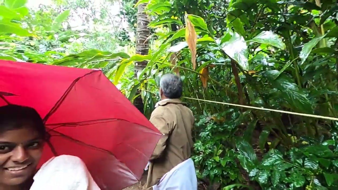 Thekkady | Spice Garden | Kumily | kerala