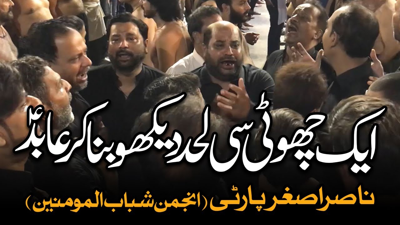 Ek Choti Si Lehad Daikho Bana Kar Abid | AM Records | Nasir Asghar Party | Bibi Sakina Noha