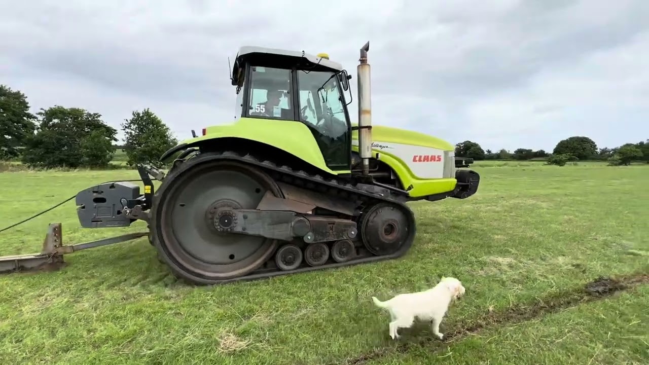 Mole draining with the Claas Challenger 55 in Suffolk.