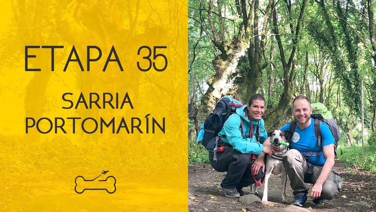 ETAPA 35: SARRIA A PORTOMARÍN | Camino de Santiago con perro