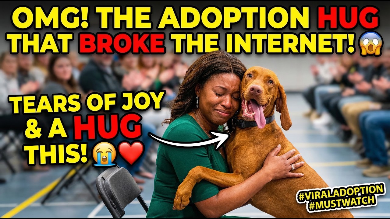OMG! THIS SHELTER DOG'S HILARIOUS CHOICE TURNED INTO THE MOST EMOTIONAL HUG EVER 😭❤️
