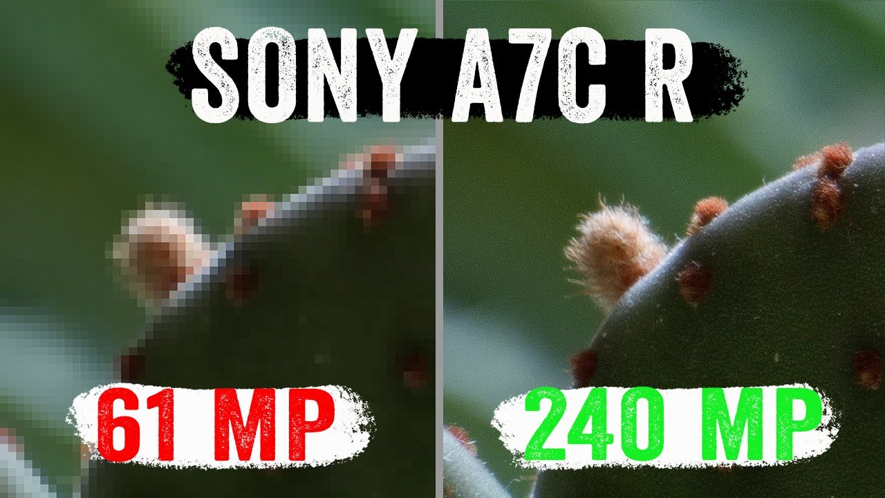 Sony A7C R 61MP and 240MP sample photos