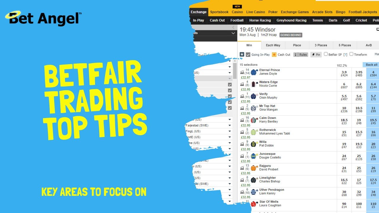 Betfair Trading Beginners Guide | Top Tips from a Professional trader