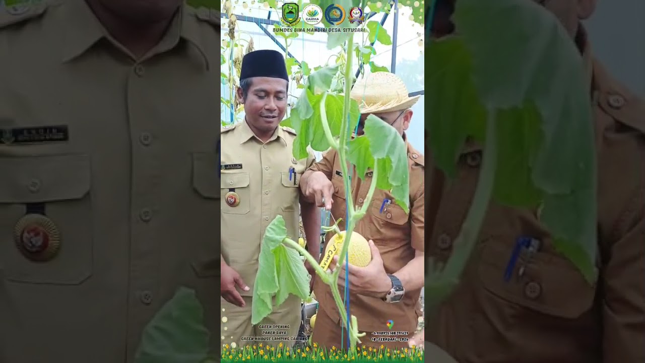 GREEN OPENING PANEN RAYA BUMDES BINA MANDIRI SITUSARI
