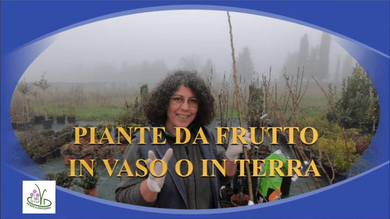 ALBERI DA FRUTTO A RADICE NUDA: COME PIANTARLI.