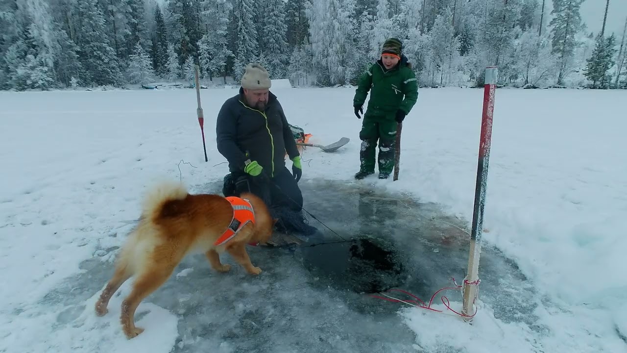 Talviverkoilla, riimuverkko yllätti