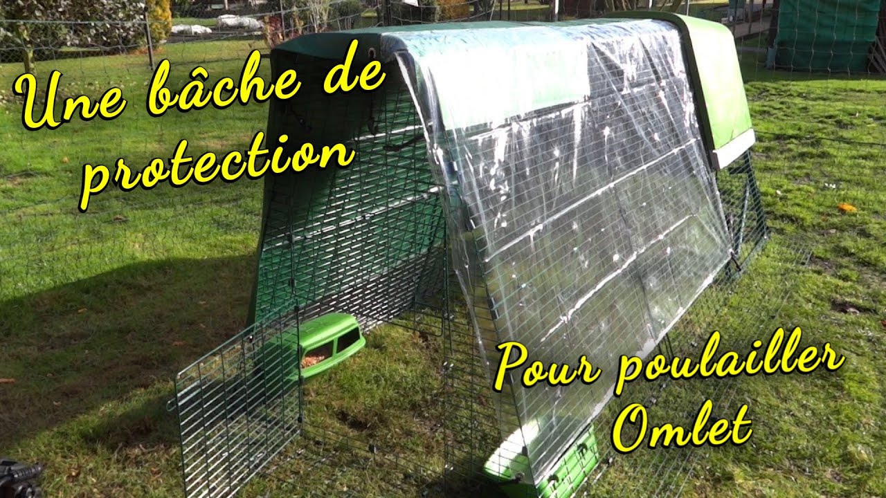 Сеть для моих цыплят. Новая модель 2019.