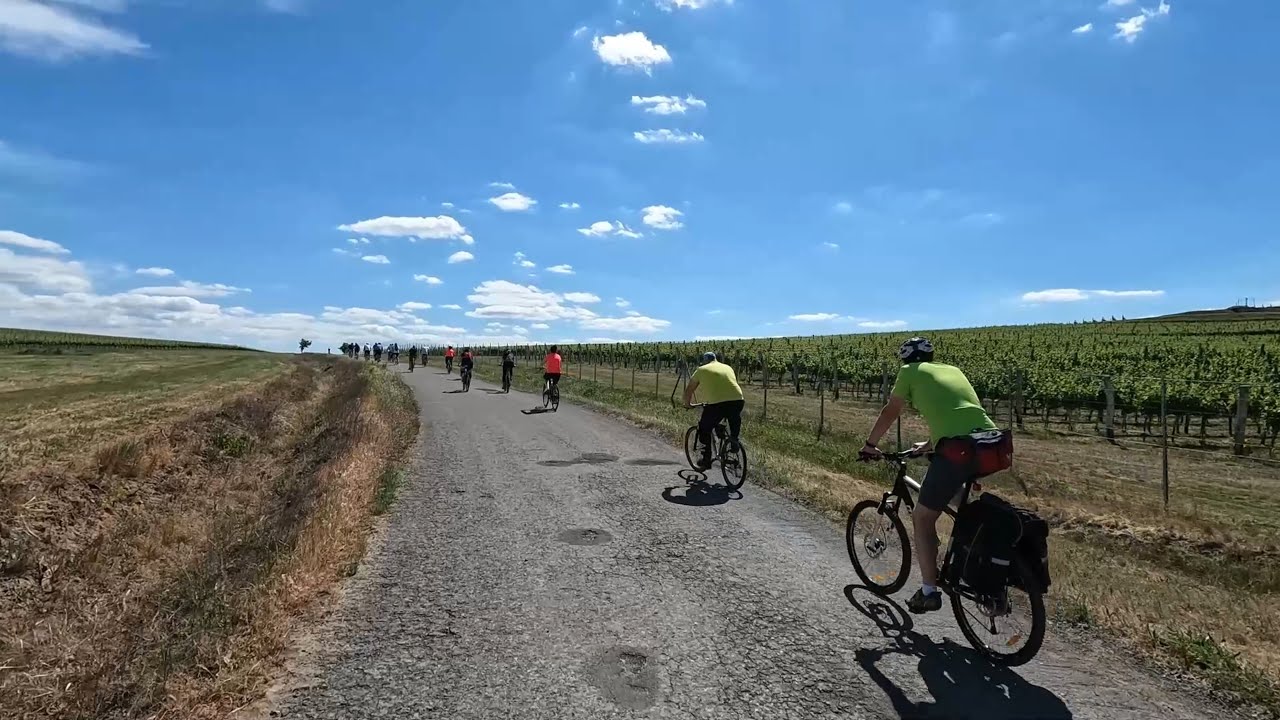 Under the Tokaj Sun - cycling in Tokaj wine region, Slovakia