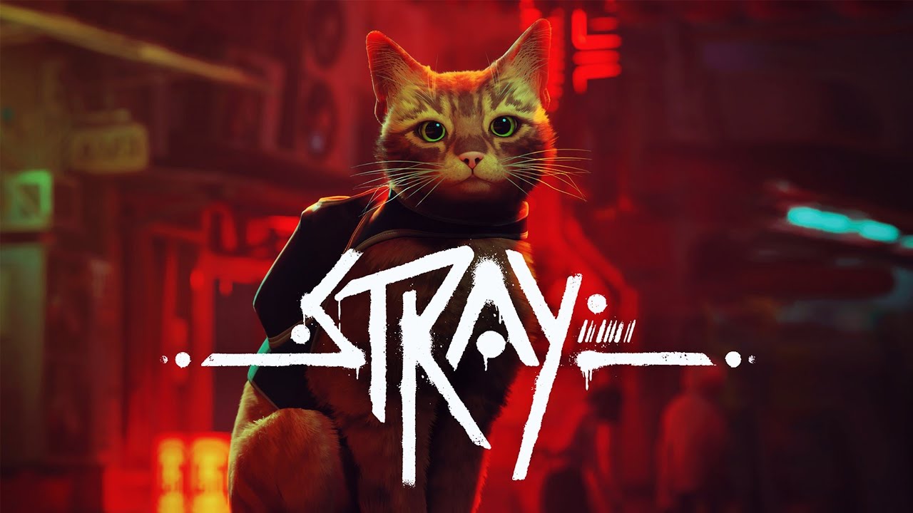 Explore the World Stray