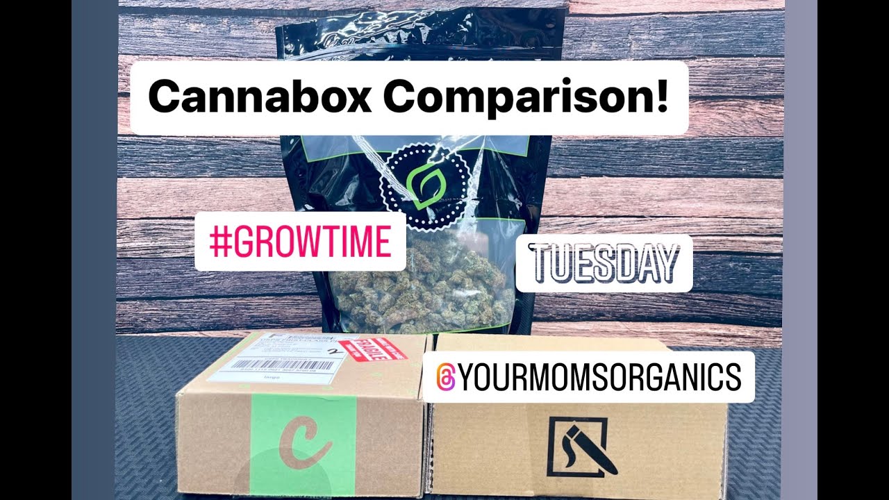 Daily High Club Subscription Box Review I Grow Time I Ep #2