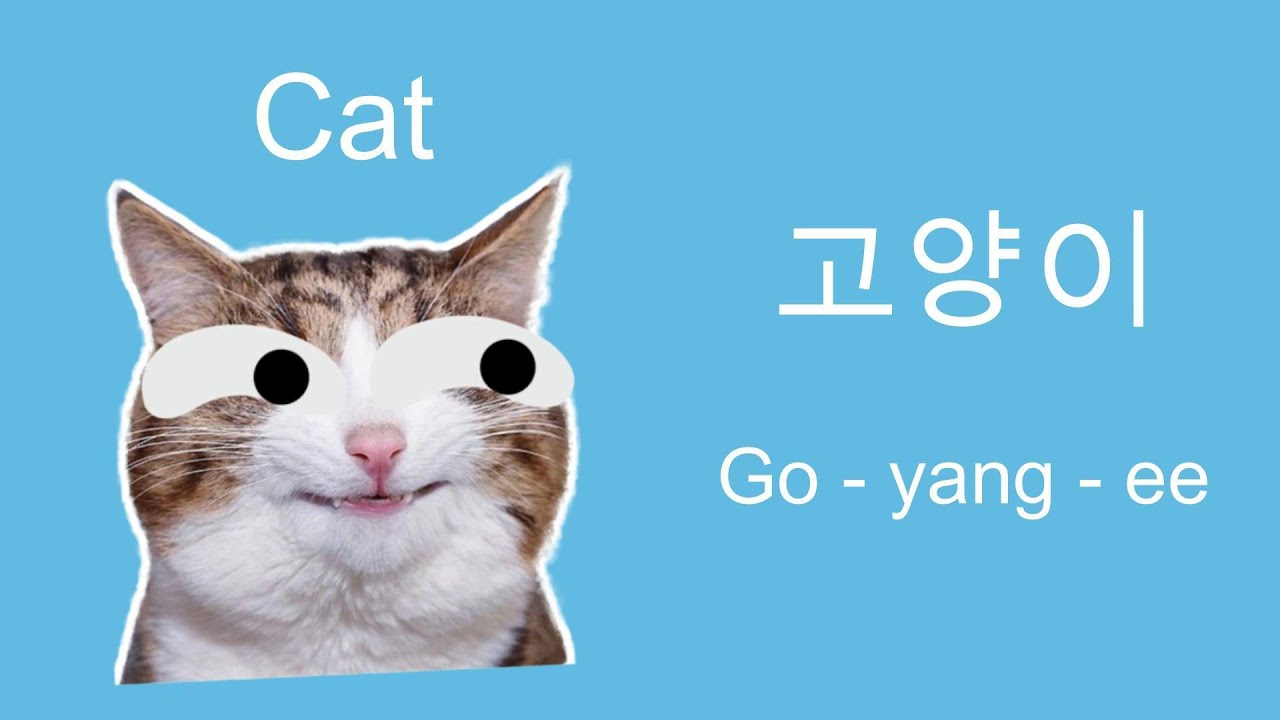 Learn 30 Korean Animal Names in Under 3 Minutes🐻🇰🇷 Korean for Beginners: Animal Names Pronunciation