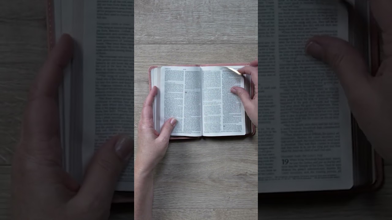 NLT Compact Bible, Filament Enabled | Leatherlike, Holy Dusty Pink