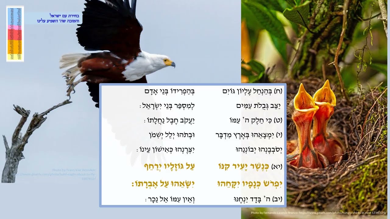 שירת האזינו