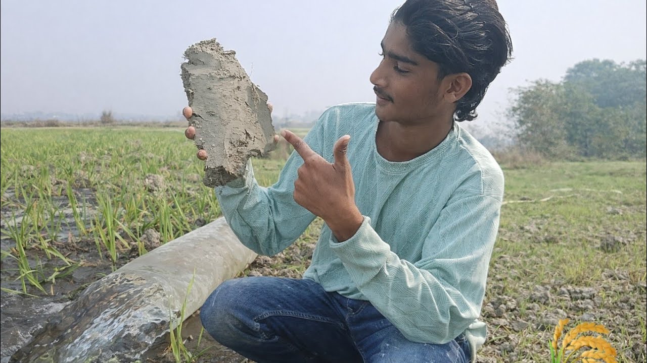 Aap log dekh sakte hai hm log aay hai khet me Panj patauni karne suno bhai log I love family 