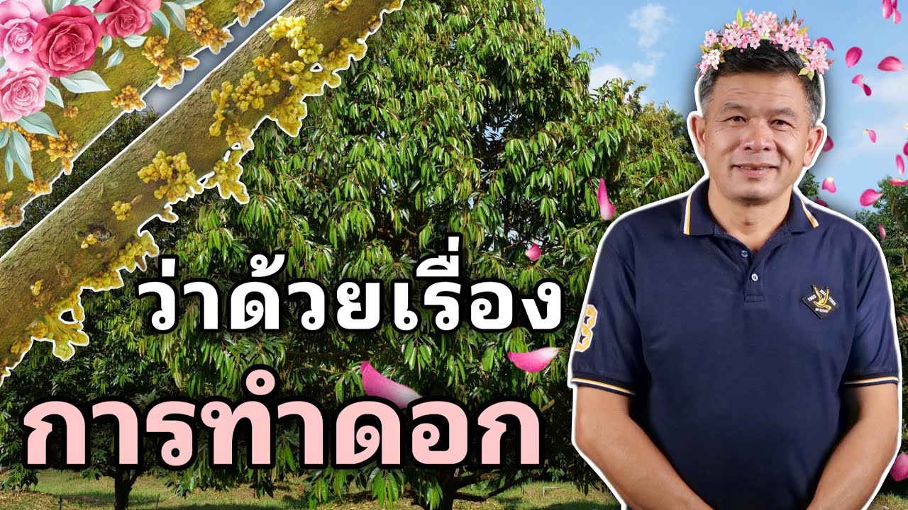 LIVE🔴ตอบโจทย์สวนที่ยังไม่ได้ดอกหรือได้ดอกน้อย วันที่ 1/12/2025