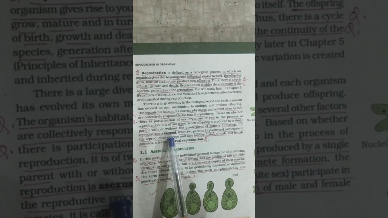 Reproduction in organism