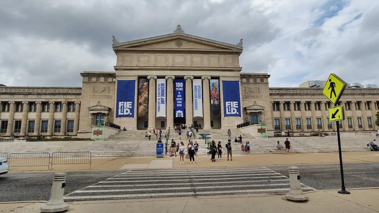 Field Museum (Part 1) - 4K