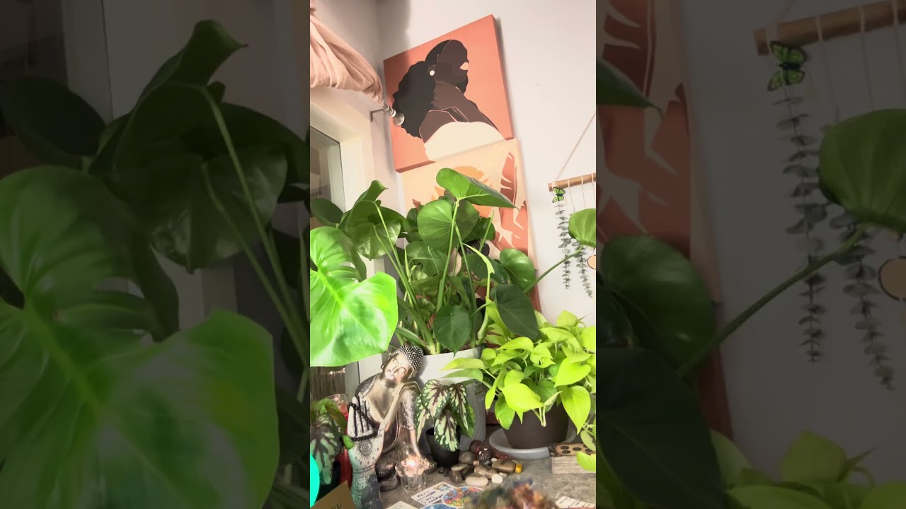 Эти двое просто идеально подходят друг другу ✨❤️💋✨