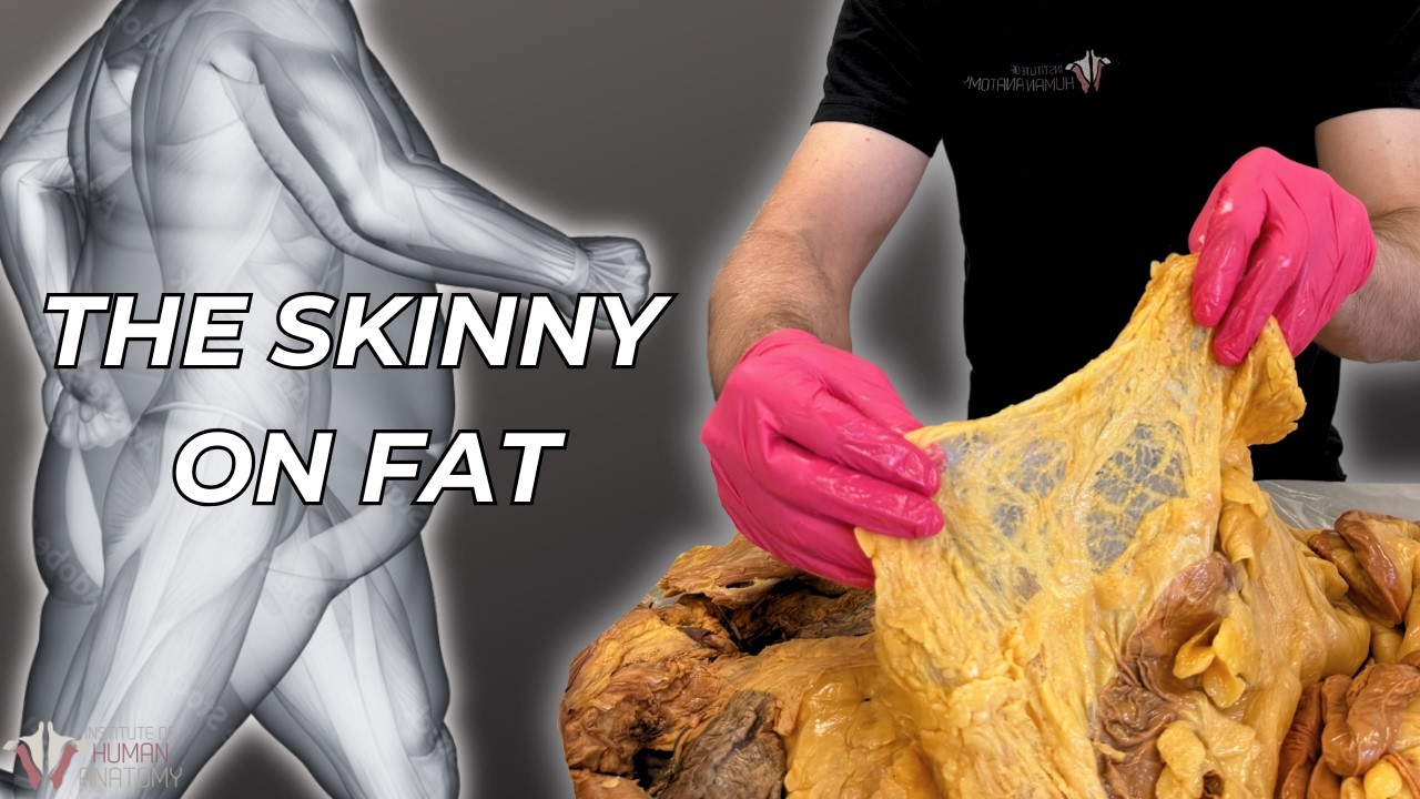 What Fat REALLY Does in Your Body (It’s Not What You Think)